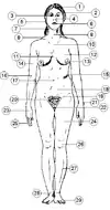Vues descriptives ou internes
