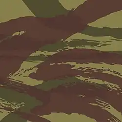Camouflage Lizard
