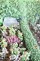 Tombe d'Ernst Grabbe