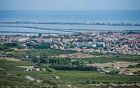 Vue depuis la Montagne de la Gardiole.