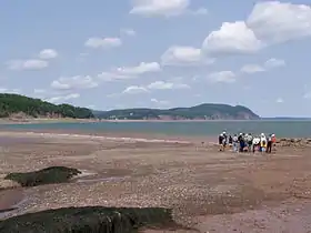 Image illustrative de l’article Réserve de biosphère de Fundy