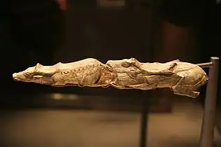 Les mêmes, vue latérale.Ivoire de mammouth,abri Montastruc.British Museum,.