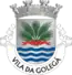 Blason de Golegã