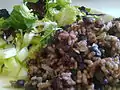Gallo pinto (au premier plan)