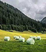 Ensilage dans un champ à Galtür. Juillet 2017.