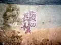 Mur de la chambre avec la croix.