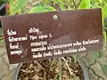 Panneau descriptif en thaï