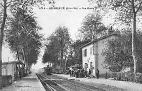 Gemeaux.