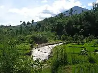 Paysage à Garat