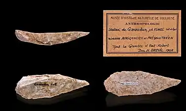 Grattoir - Aurignacien -Muséum de Toulouse.