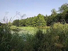 Parc des Gayeulles.