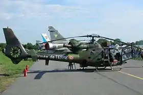 Gazelle, 2005