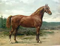  Peinture représentant le profil droit d’un cheval alezan bien proportionné mais à l’arrière-main forte ; sa queue est ornée de rubans jaunes et sa crinière est tressée et elle aussi ornée de rubans jaunes.