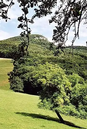 Vue du plateau.