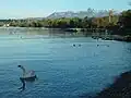 Lac Léman et massifs des Mémises et de la Dent d'Oche.