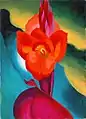Canna rouge - 1919.