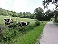 L'axe vert de la Thiérache, Gergny direction Luzoir.