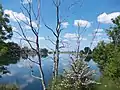 Lac de Rohrteich