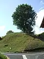 Versant est de la motte castrale.