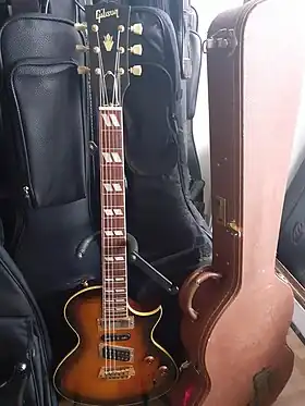 Image illustrative de l’article Gibson Nighthawk
