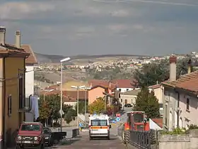 Ginestra