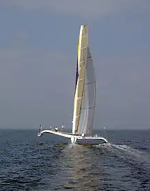 Gitana 11