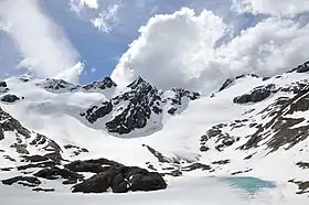 Le glacier Vinciguerra en Terre de Feu.