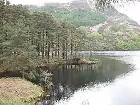 Image illustrative de l’article Loch Trool