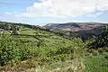 Glenariff, un des glens d'Antrim.
