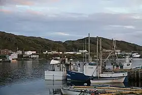 Goose Cove East