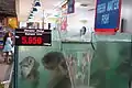 Des spécimens vivants en vente (en) dans un marché de Jakarta, en Indonésie.