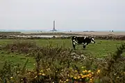 Autre vue à marée basse depuis la campagne.
