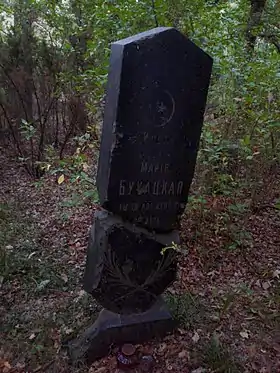 Lebiedziew