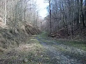 Gradac Našički