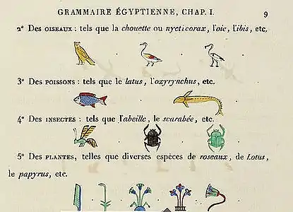 Grammaire égyptienne, chapitre I, p. 9