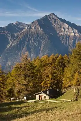 Le Grand Chavalard
