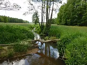 Damianów