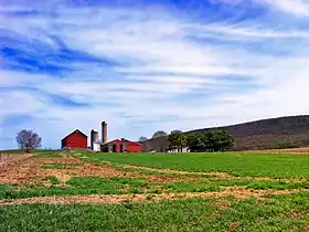 Greene Township (comté de Clinton, Pennsylvanie)