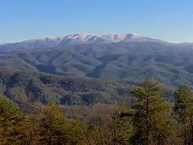 Le Gregory Bald (1&nbsp;508&nbsp;m), à la frontière entre le comté de Swain et le comté de Blount (Tennessee).