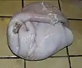 Estomac de porc assaisonné et roulé.