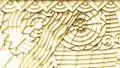 A small section of Timothy L. Pflueger's patented ceiling grid which extends over the entire auditorium[Traduire&nbsp;passage]