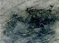 Gris nuagé