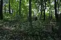 Vue du cimetière abandonné