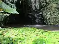Grotte Teanateatea de Maraa