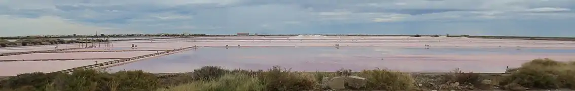 Les salins.