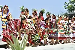 Image illustrative de l’article Flor de piña