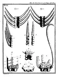 1re partie, pl. 3