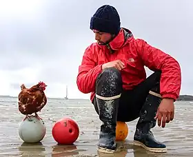 Image illustrative de l’article Guirec Soudée