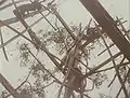 Il faudra huit jours de travaux aux soldats et aux amérindiens pour terminer la construction (12&nbsp;m de haut)