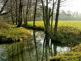 Piotrowice (Radom)
